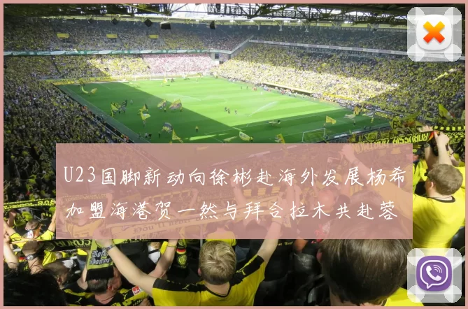 U23国脚新动向徐彬赴海外发展杨希加盟海港贺一然与拜合拉木共赴蓉城